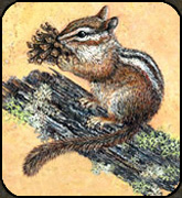 Chipmunk stone painting by Holly Benay Cutting Page 3